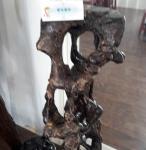 20170504_102145.jpg