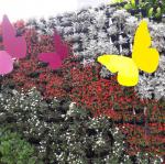 20170504_120058.jpg