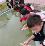 FB_IMG_1493883791675.jpg