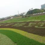 DSC04677.JPG