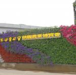 DSC04680.JPG