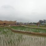DSC04685.JPG