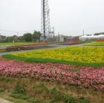 DSC04697.JPG