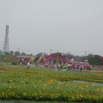 DSC04700.JPG