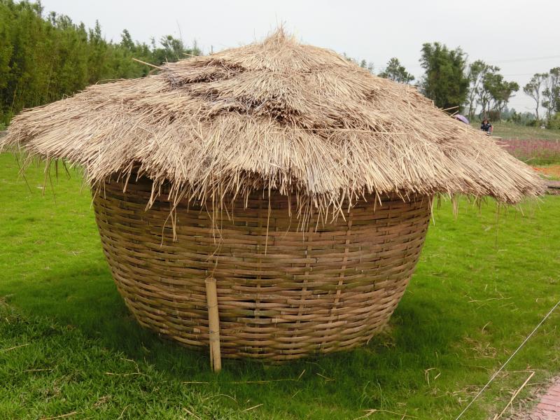CIMG5090.JPG