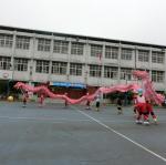 CIMG5161.JPG