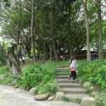 DSC01004