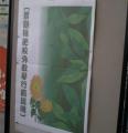 IMAG0133