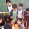 DSCI1616