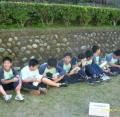 DSCI1678