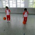 DSCF2449.jpg