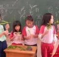 五信自然 ---觀察葉子是(互生?  對生?  輪生 ?).....