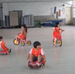 扭扭車 (9)