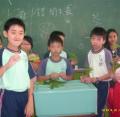 五愛自然  :觀察 "多功能ㄉ葉"....