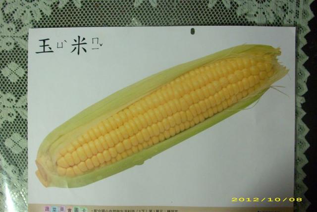 DSCI1812