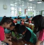 IMG_20171012_141126.jpg