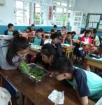 IMG_20171012_141146.jpg
