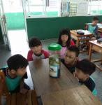 IMG_20171016_094756.jpg
