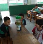 IMG_20171016_094919.jpg