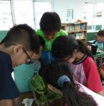 IMG_20171012_152157.jpg
