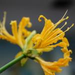 DSC05232.JPG