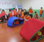 烏龜墊-合作爬行 (7)