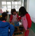 IMG_20171121_113745.jpg