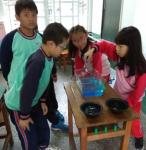 IMG_20171121_114247.jpg