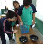 IMG_20171121_114703.jpg