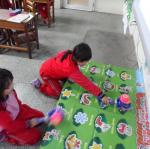 SAM_4551