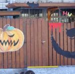 DSC07524.JPG