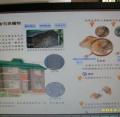 六孝 自然    岩石與礦物.