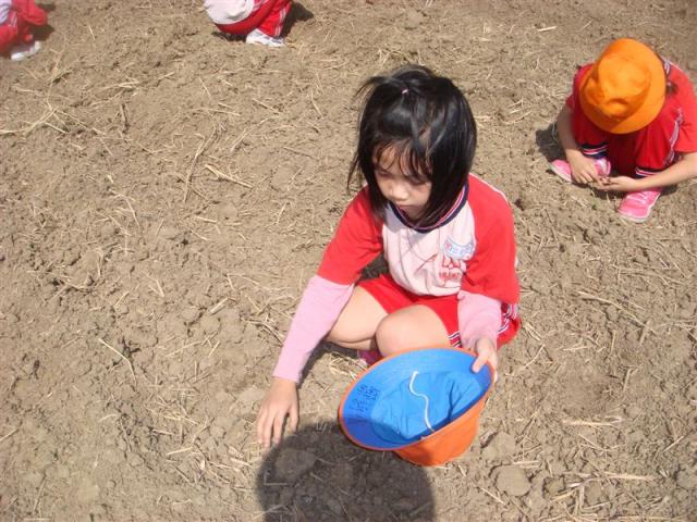 DSC03429