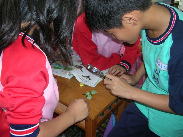 4«H 002