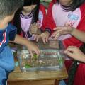 4«H 019