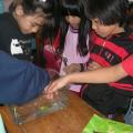 4«H 023