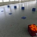 DSCF2913.jpg