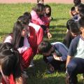 IMG_2284.JPG