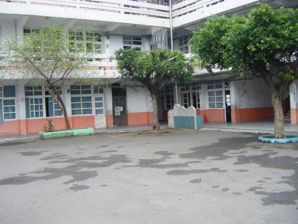 樹根破壞樹穴及地板