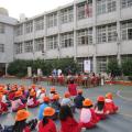 IMG_1537.jpg