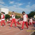 ALIM2249.JPG