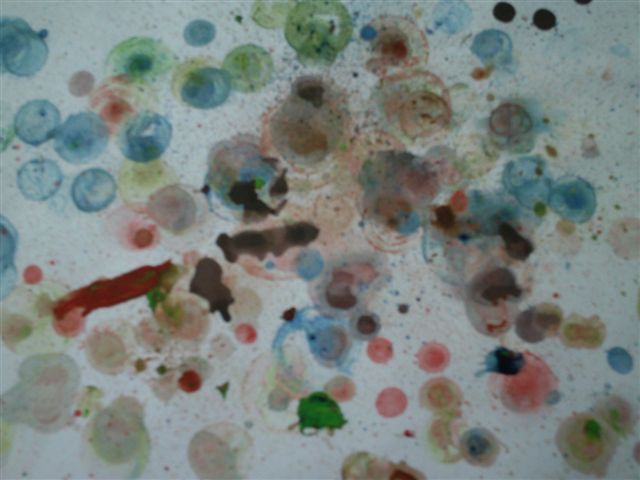 IMAG0154