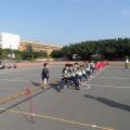 SAM_3169