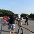 SAM_3178