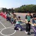 SAM_3190