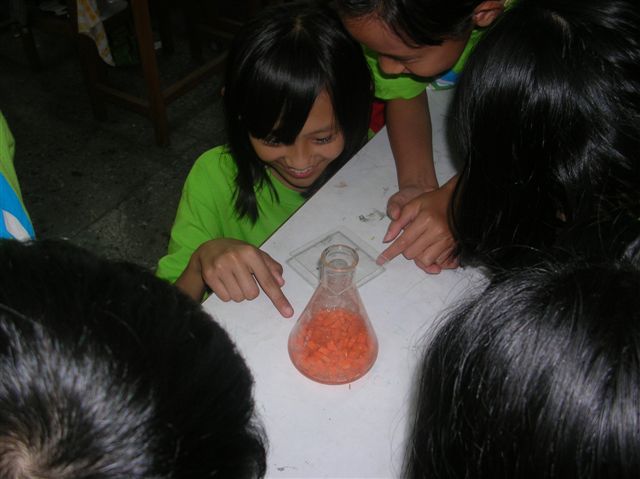 DSCN4262
