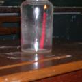 DSCN4335