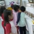 IMAG0153