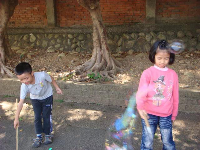 DSC03784