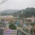 IMG_1443.jpg
